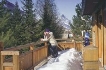 Chalet Asters  alternative view 4